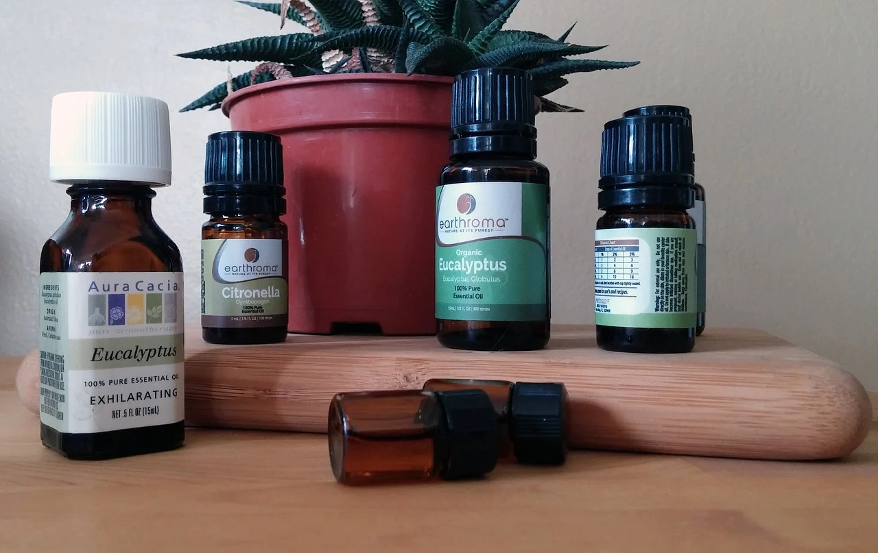 Essential Oils To Get Rid Of Wasps